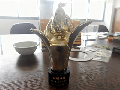Outstanding Supplier- Weifang Rainbow Chemical