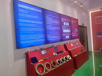 Company Profile