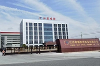 Subsidiary Plant II
